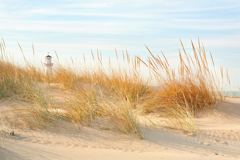 top 20 interior and home stage designers